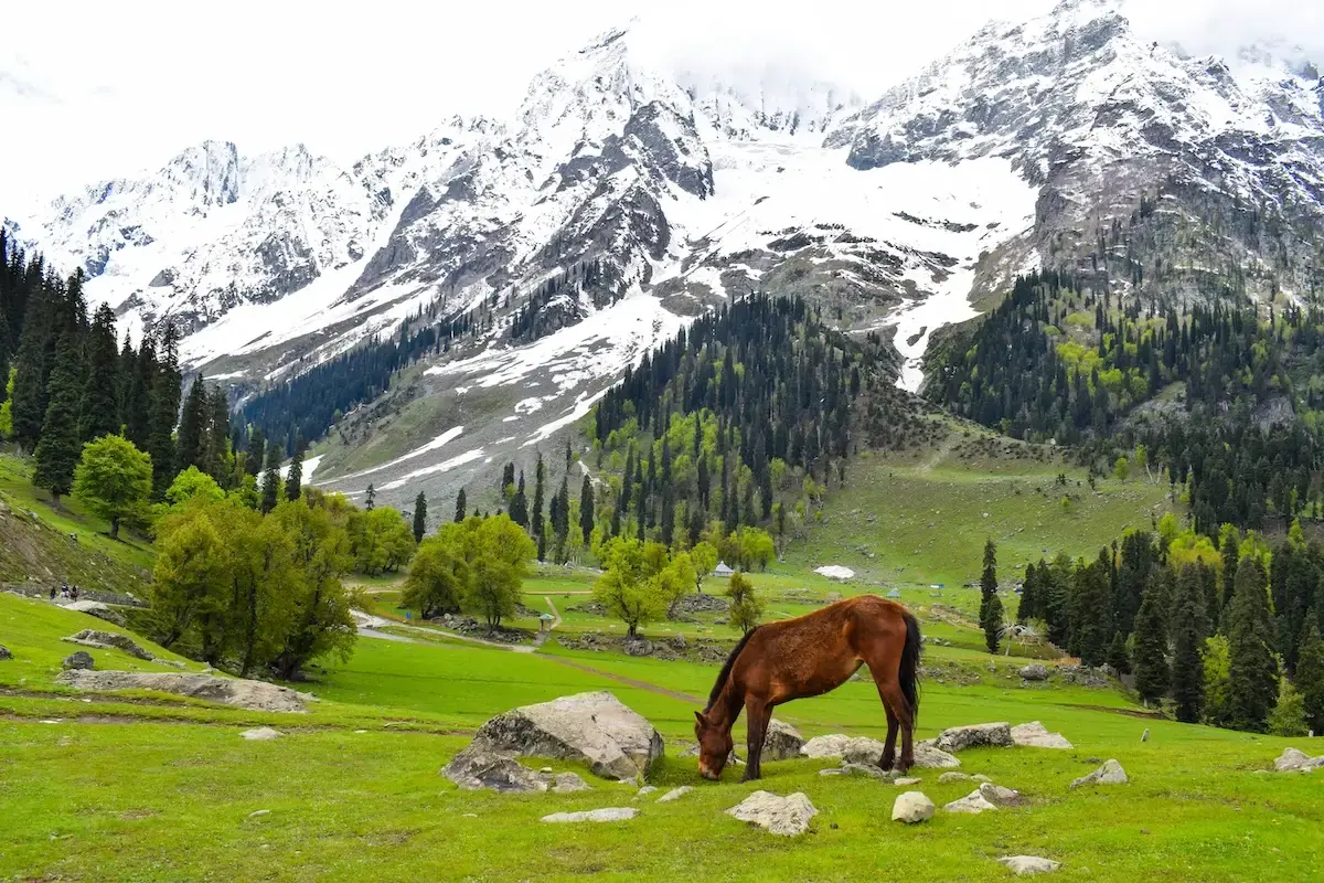 Kashmir landscapes
