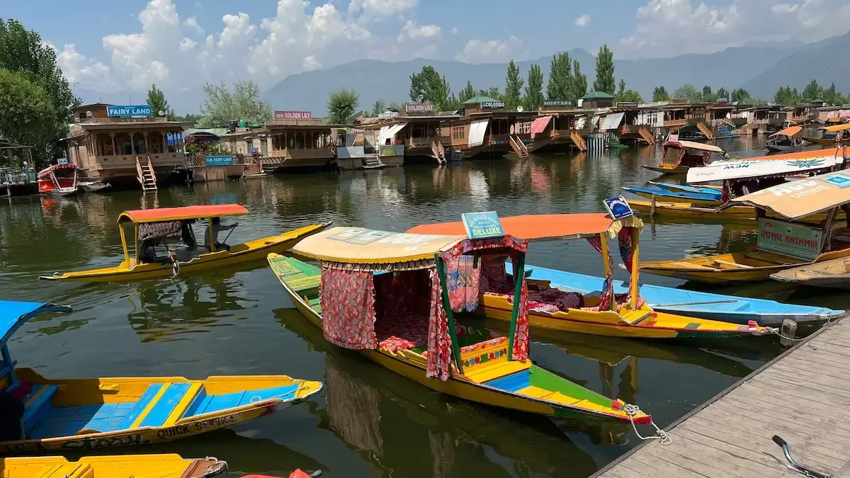 Shikaras on Dal Lake