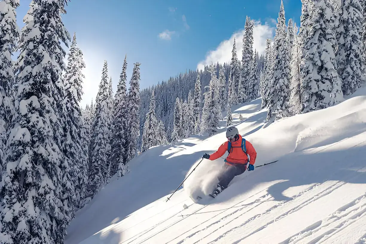 Skiing