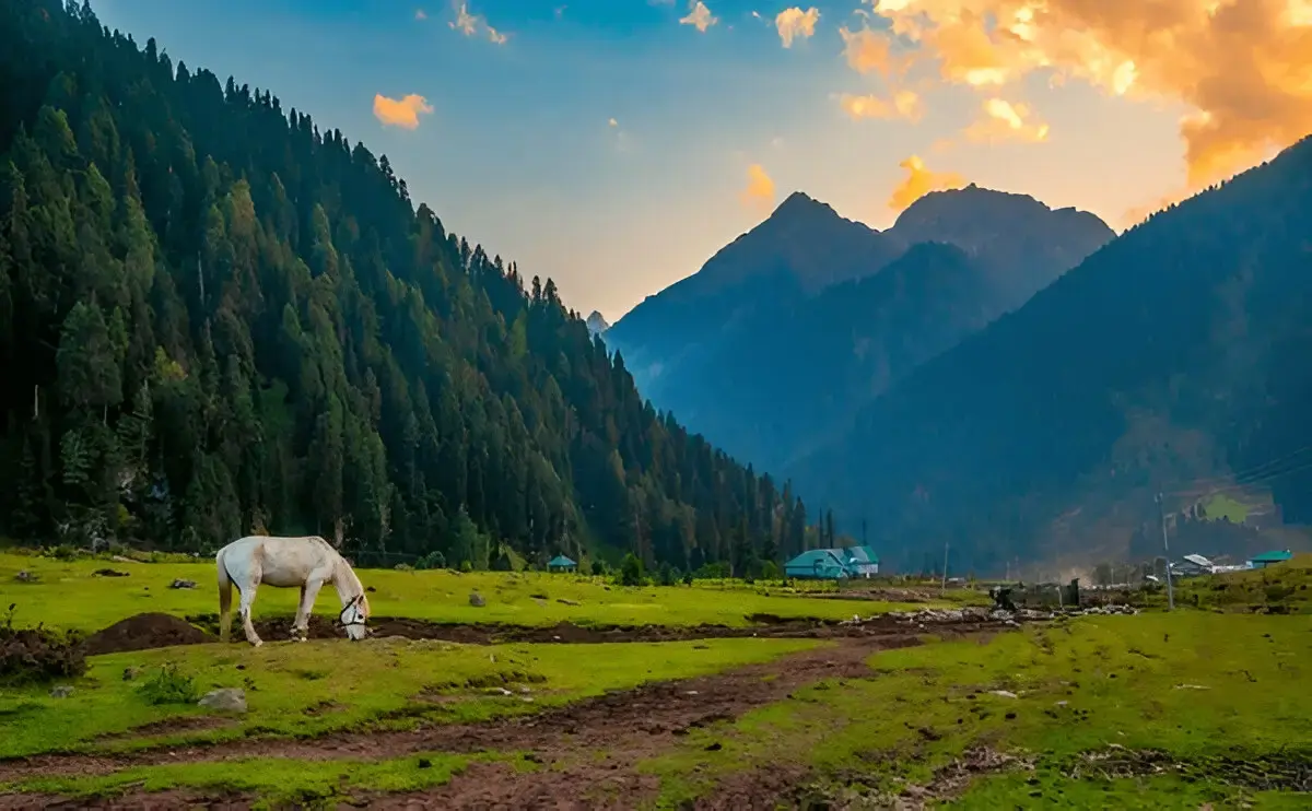 Kashmir in August 2025: Weather, Places to Visit & Travel Guide